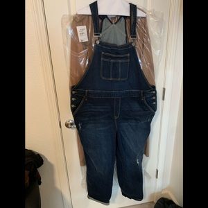 Plus Size Dark Wash Overalls